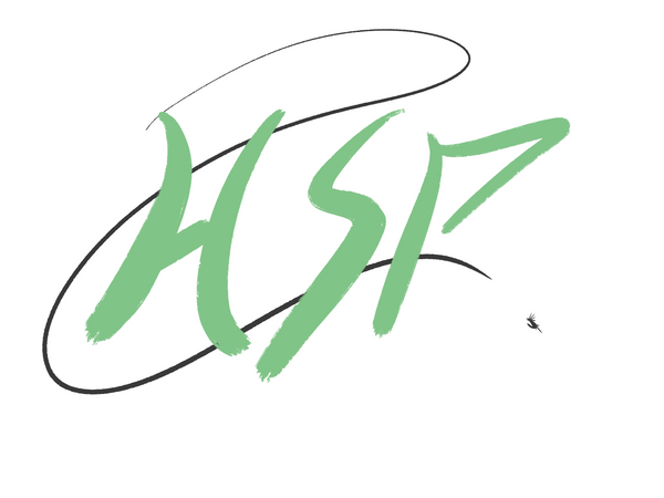Hook Set Projects logo